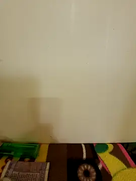 roshankakol online show from November 19, 2025, 10:15 am