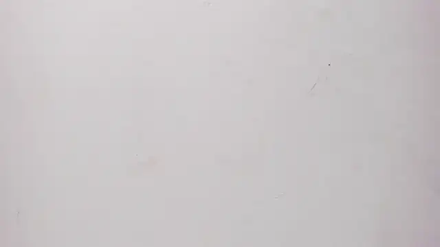 Sofia summers online show from November 25, 2025, 3:40 am