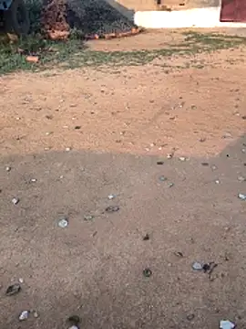 Ag punam online show from February 10, 2026, 2:10 am