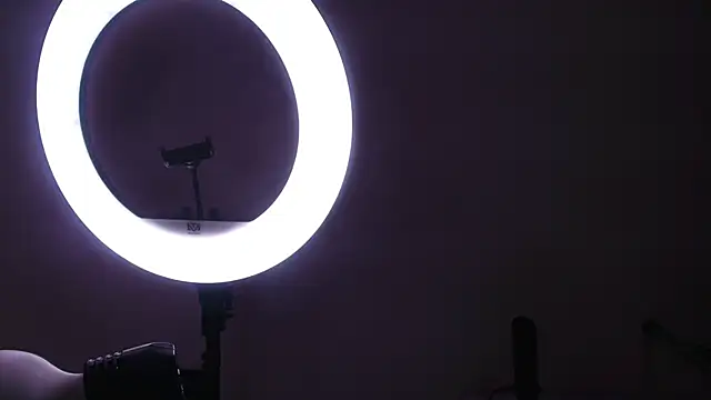 abbyrouss  online show from November 29, 2025, 3:06 am