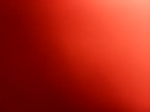 fernandowall online show from November 21, 2025, 10:47 am