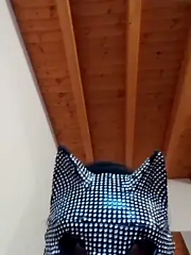 stellasexy online show from June 3, 2026, 6:25 am
