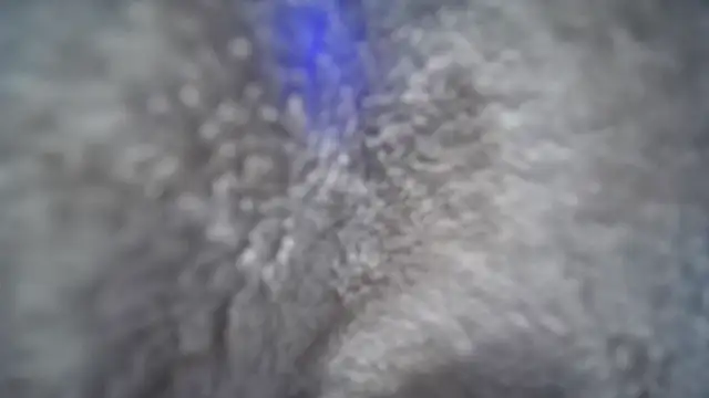 jasoncali305 online show from November 20, 2025, 7:03 pm