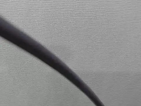 sarai mv1 online show from October 3, 2025, 6:42 pm