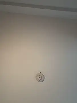 Snapshot of Andrestarr chatting on February 8, 2026, 11:30 am Andrestarr online show from February 8, 2026, 11:30 am