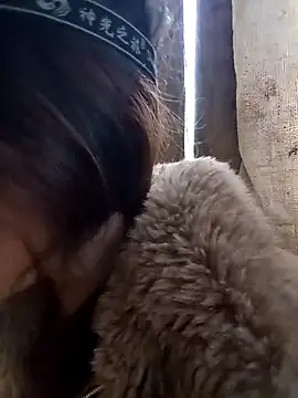 bonnie-00 online show from December 14, 2025, 9:04 am