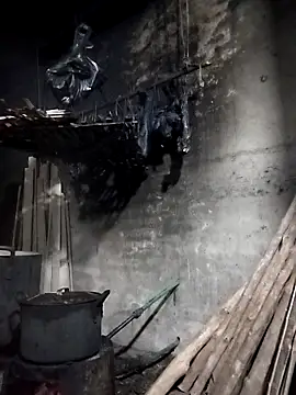 Dung x online show from March 28, 2026, 1:01 pm