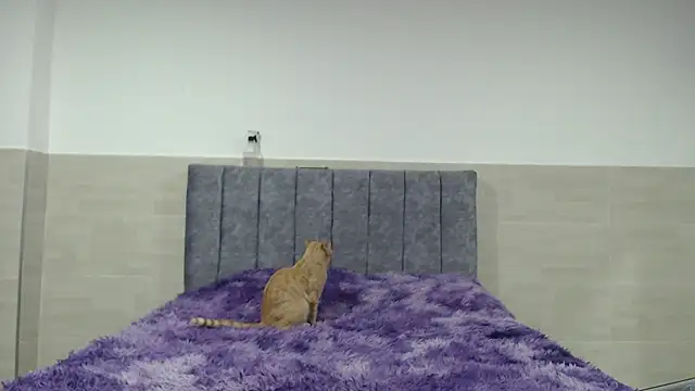  ruby red online show from November 20, 2025, 2:45 am