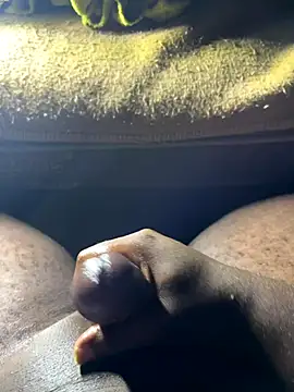 Snapshot of Bee-mann chatting on October 23, 2025, 6:17 pm Bee-mann online show from October 23, 2025, 6:17 pm