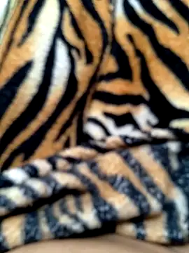 Cachorrinha2025 online show from October 15, 2025, 9:39 am