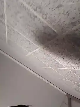 Cachorrinha2025 online show from October 12, 2025, 9:54 am