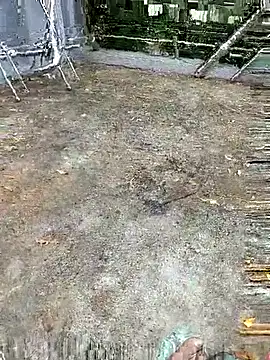 Aaisha-16 online show from September 29, 2025, 2:07 am