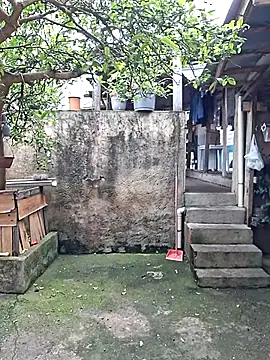 Bottz777 online show from November 16, 2025, 11:37 am