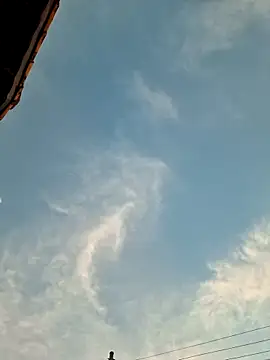 Bottz777 online show from November 4, 2025, 9:40 pm