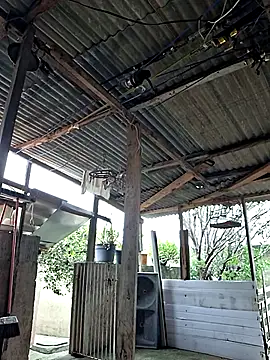 Bottz777 online show from December 2, 2025, 11:01 am