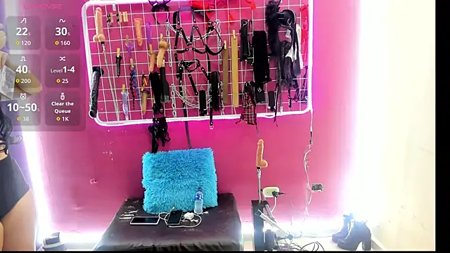 Mistress Megan BDSM online show from February 11, 2026, 7:25 pm