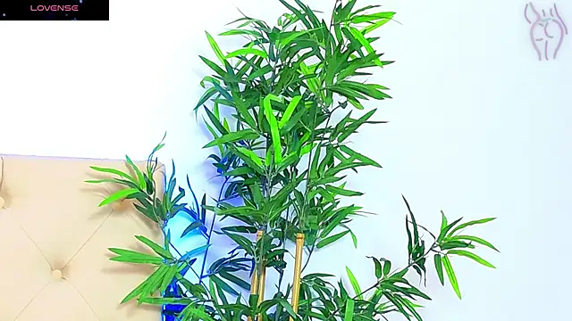 CoraVex online show from September 16, 2025, 6:03 am