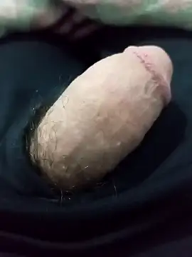 ncdz5802102z online show from April 5, 2026, 1:18 pm