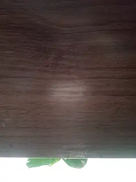 Snapshot of ValeriaLove43211 chatting on May 21, 2026, 12:24 pm ValeriaLove43211 online show from May 21, 2026, 12:24 pm