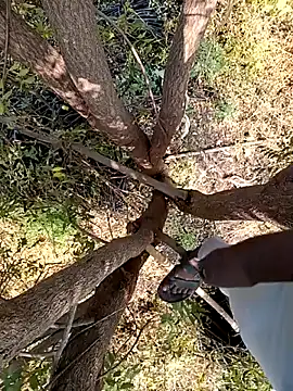 Swati335 online show from January 14, 2026, 5:00 am