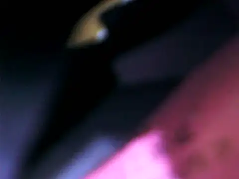 Snapshot of DailyRoadma chatting on February 15, 2026, 2:05 pm DailyRoadma online show from February 15, 2026, 2:05 pm