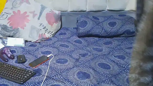 SexyBear012 online show from November 11, 2025, 8:53 am