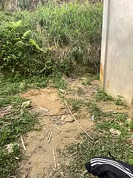 phuongxinhxan online show from March 31, 2026, 1:40 am