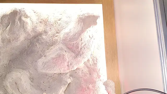 Stellaciel  online show from February 28, 2026, 11:04 pm