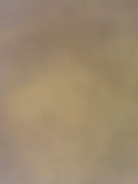 charlotteemerson123 online show from November 29, 2025, 3:12 pm