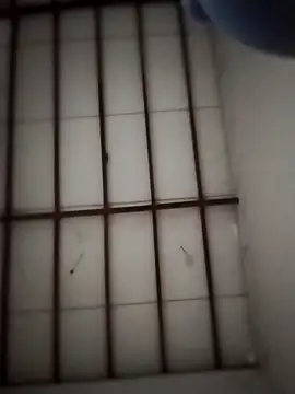 Yakpatiya7788 online show from March 20, 2026, 5:03 pm