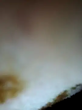 alone boy802 online show from November 24, 2025, 9:04 pm