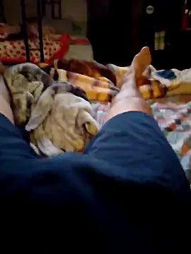 SALCEDO 041198 online show from November 9, 2025, 1:15 pm