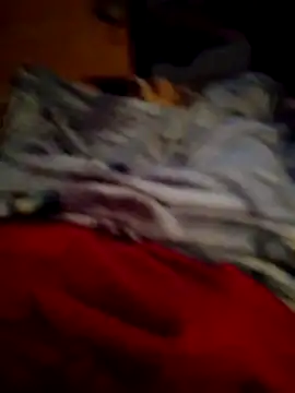 SALCEDO 041198 online show from November 14, 2025, 11:47 am