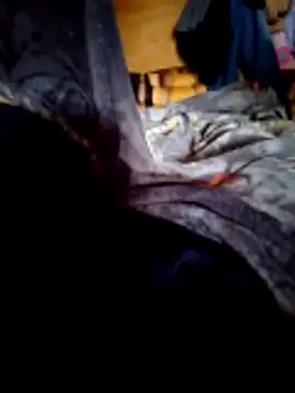 SALCEDO 041198 online show from December 1, 2025, 12:06 pm