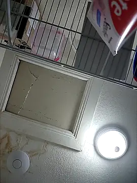 Snapshot of FIREMAN954 chatting on February 10, 2026, 4:33 am FIREMAN954 online show from February 10, 2026, 4:33 am