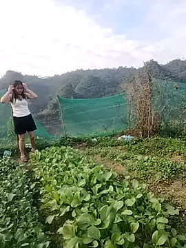 Meomeo-meo online show from November 21, 2025, 8:35 am