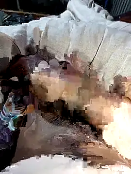 WrongAngle30 online show from January 15, 2026, 8:01 pm