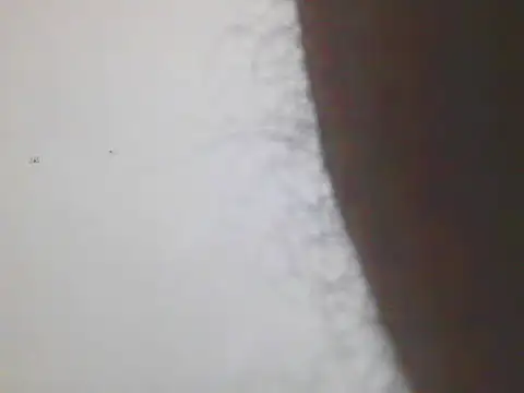 Horny MALLU 6 online show from February 7, 2026, 4:37 pm