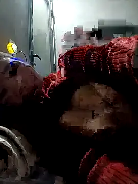 kemmut-sex online show from January 12, 2026, 2:24 pm