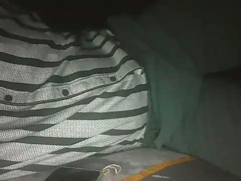 Hhhggghrrr3219 online show from November 20, 2025, 6:19 pm