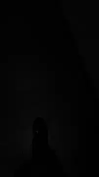 tia   fox online show from November 24, 2025, 7:41 am