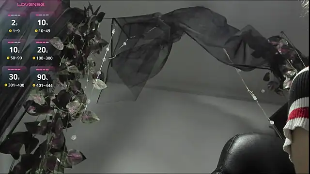 Shinny Crystal online show from October 15, 2025, 1:30 pm