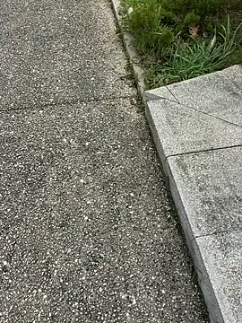 Snapshot of nanaisbackk chatting on February 16, 2026, 2:37 pm nanaisbackk online show from February 16, 2026, 2:37 pm