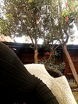 Jade 1-9 online show from October 30, 2025, 5:43 pm