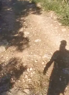 sweetysteph30 online show from October 15, 2025, 1:19 pm