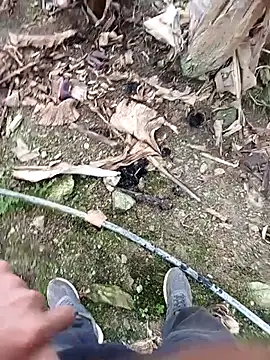 Sikici0734 online show from November 19, 2025, 9:20 am