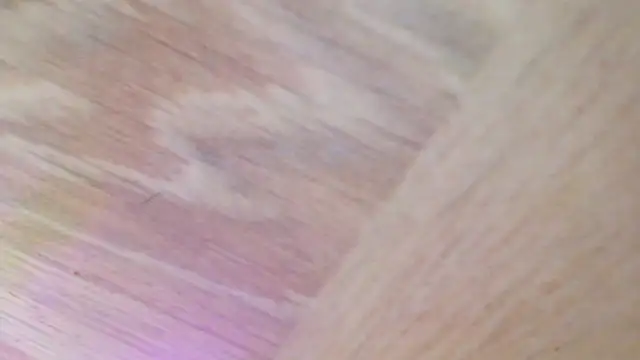 shannon kinne  online show from March 31, 2026, 4:42 pm