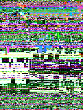 Rose monroee online show from November 13, 2025, 7:40 pm