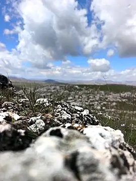 Sert erkek21 ysm online show from March 31, 2026, 9:22 am