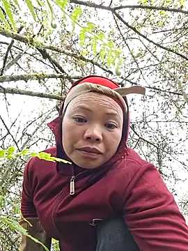 miomio-12 online show from December 14, 2025, 8:09 am